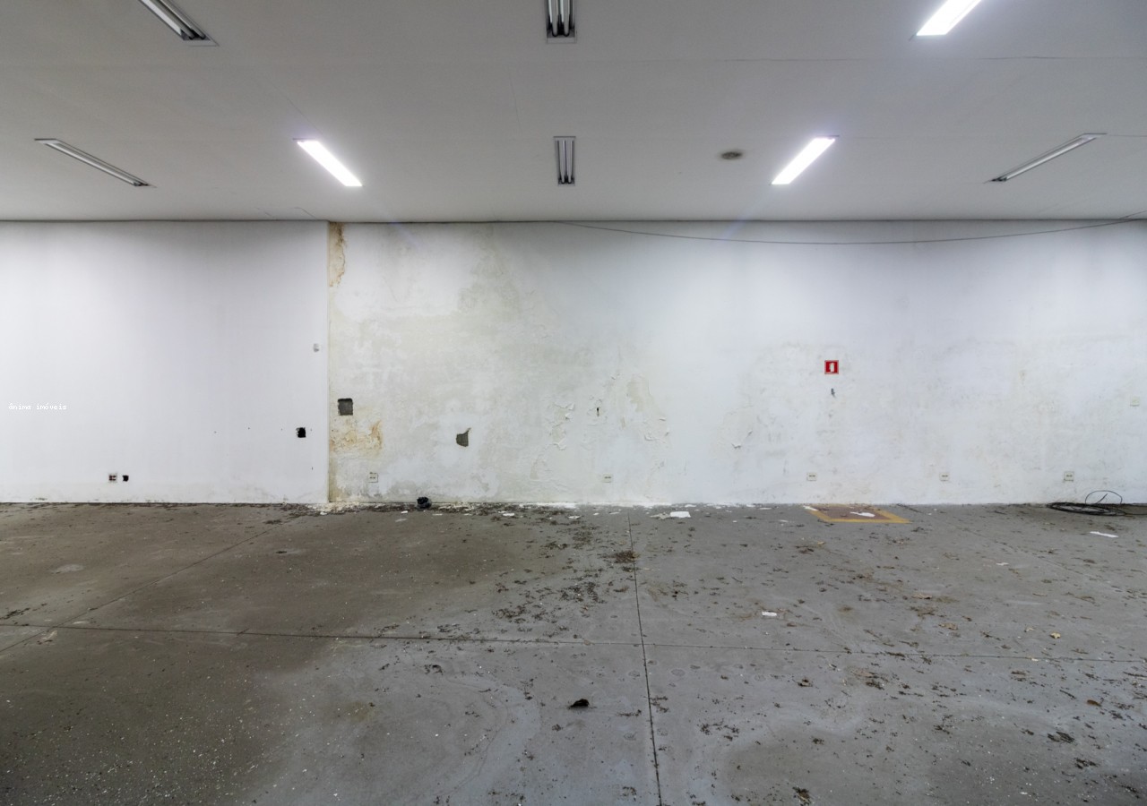 Loja-Salão, 334 m² - Foto 5