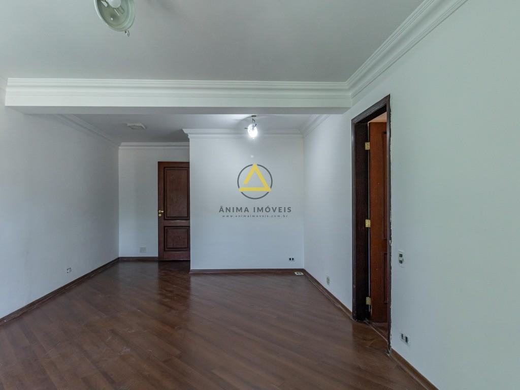 Casa, 4 quartos, 600 m² - Foto 8