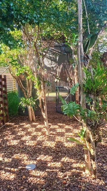 Apartamento, 1 quarto, 36 m² - Foto 29